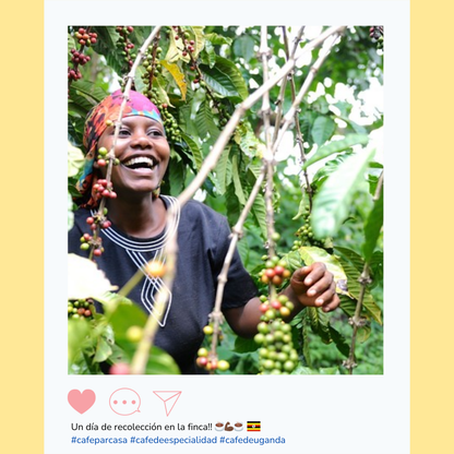 Super Coffee - Queen Kigezi (Origen Uganda)